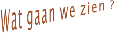 Wat gaan we zien ?